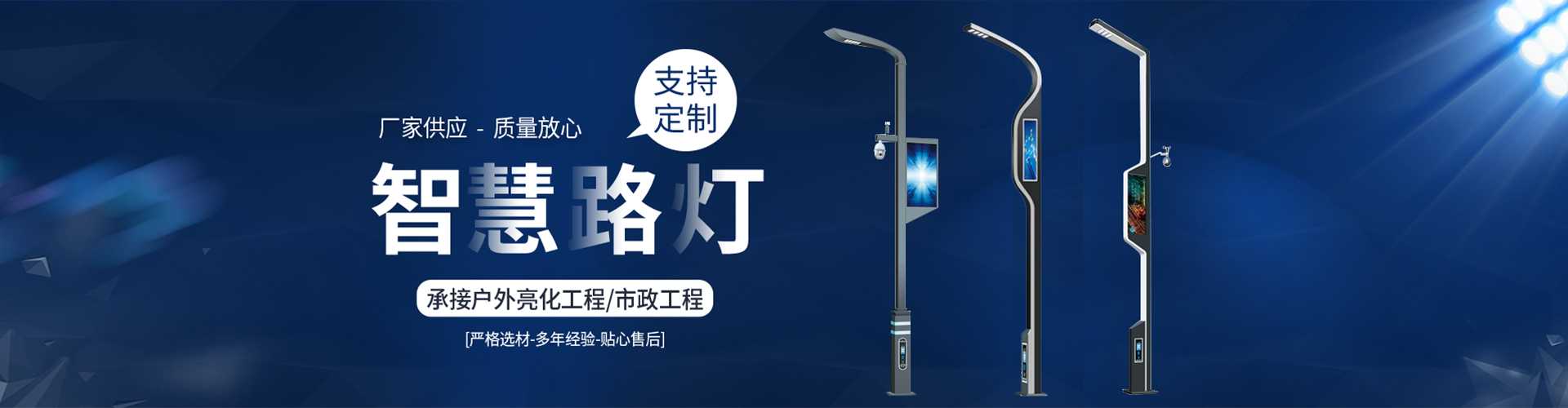 贵南县太阳能路灯定制厂家