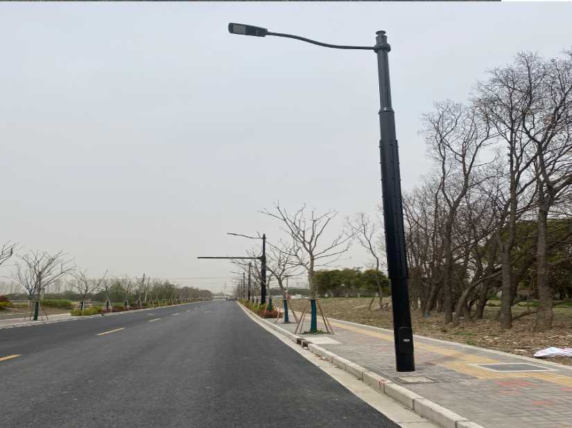 贵南县上海综合杆 太阳能路灯工程